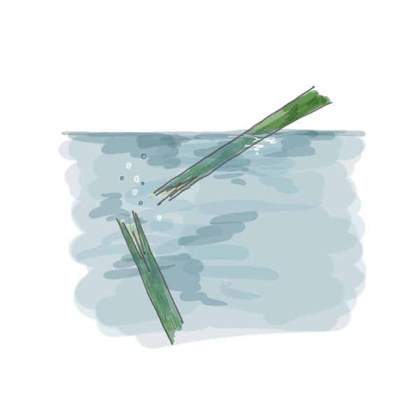 手入れ